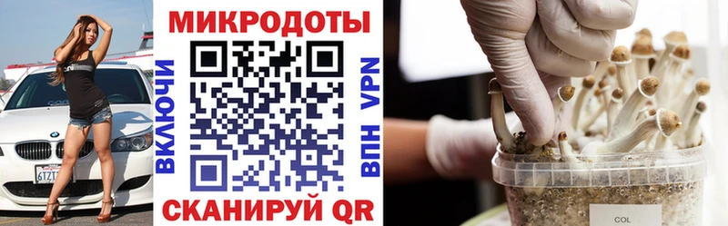 Галлюциногенные грибы мухоморы  как найти закладки  Славгород 